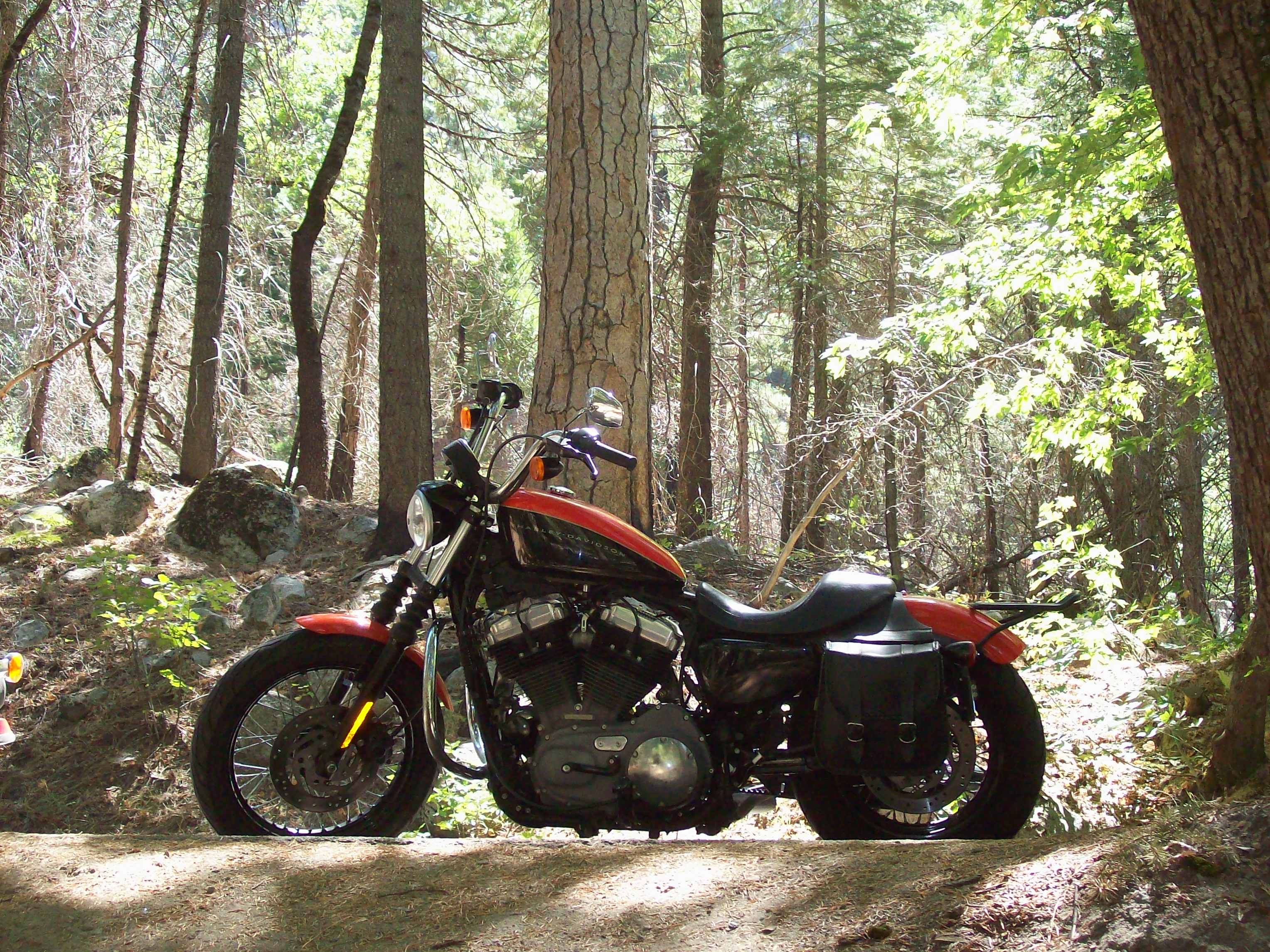 Harley Sportster