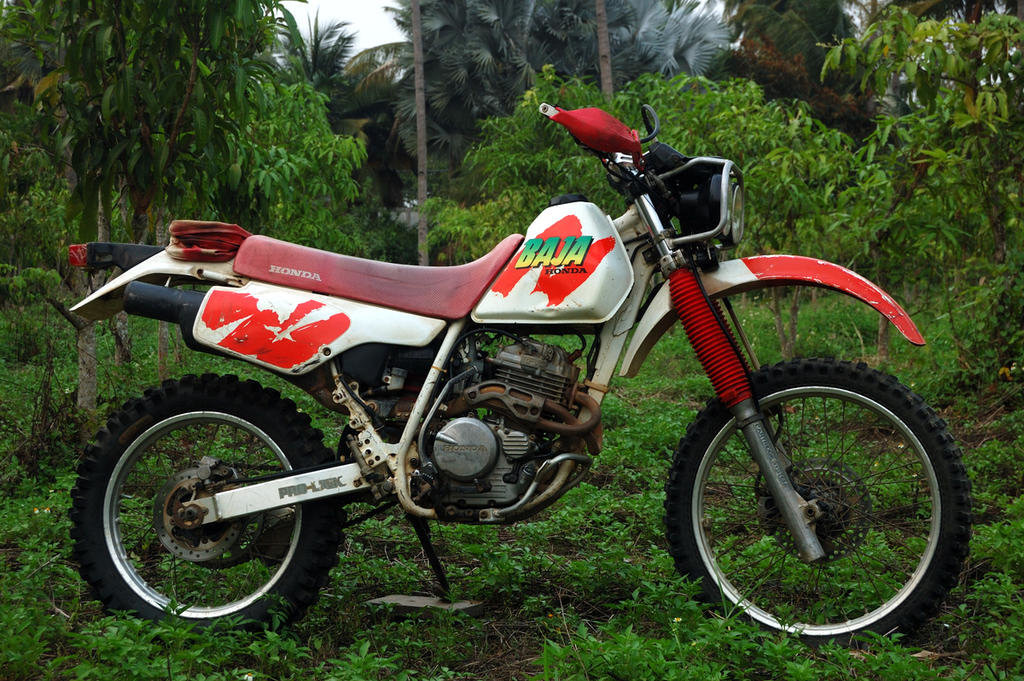 Honda Baja 250 RR